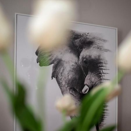 Apartment Aloha Τρέμπινιε Εξωτερικό φωτογραφία